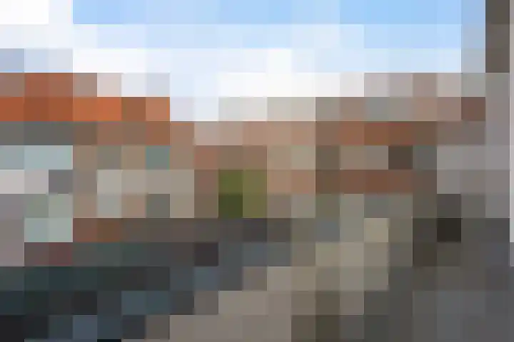 Piet Paaltjensstraat 9 Den Haag thumbnail 14