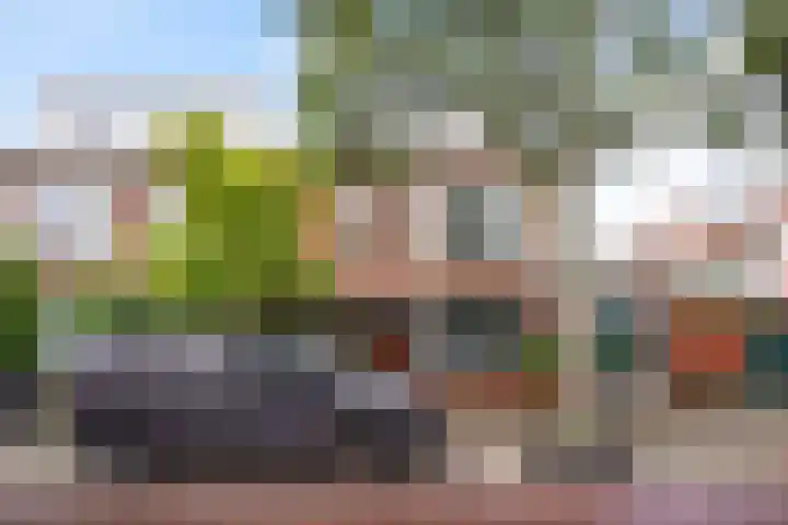 Piet Paaltjensstraat 9 Den Haag thumbnail 27