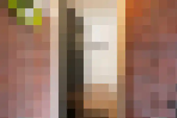 Piet Paaltjensstraat 9 Den Haag thumbnail 4