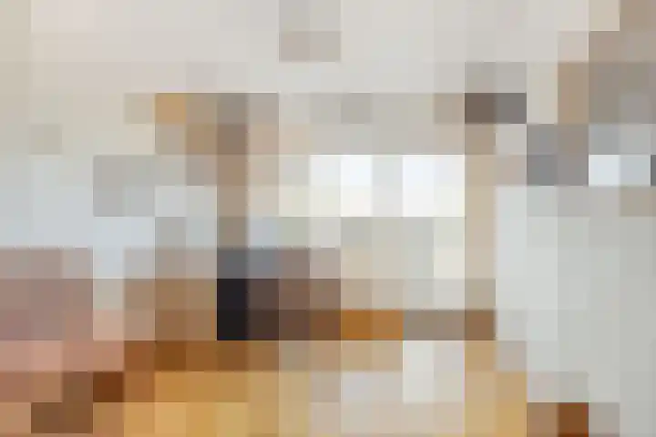 Piet Petersstraat 10 Maasbree thumbnail 11