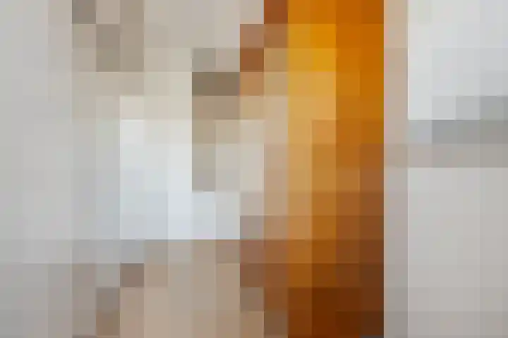Piet Petersstraat 10 Maasbree thumbnail 20