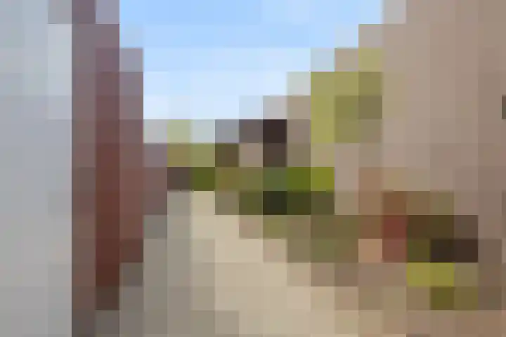 Piet Petersstraat 10 Maasbree thumbnail 27