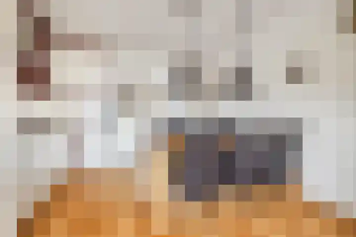 Piet Petersstraat 10 Maasbree thumbnail 7