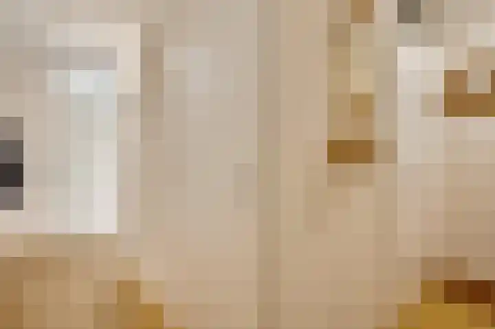 Piet Petersstraat 16 Maasbree thumbnail 12