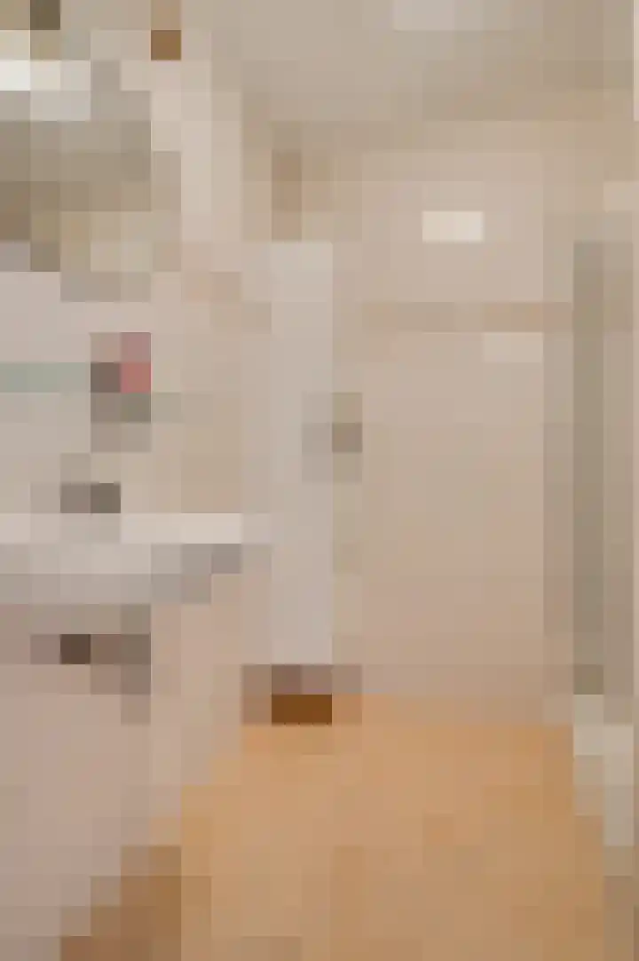 Piet Petersstraat 16 Maasbree thumbnail 20