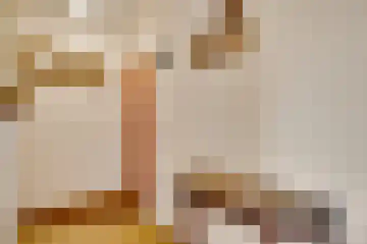 Piet Petersstraat 16 Maasbree thumbnail 24