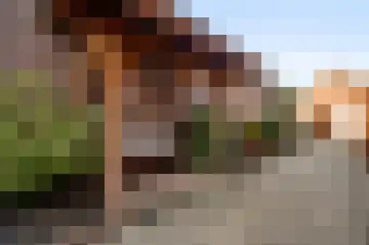 Piet Petersstraat 16 Maasbree thumbnail 27