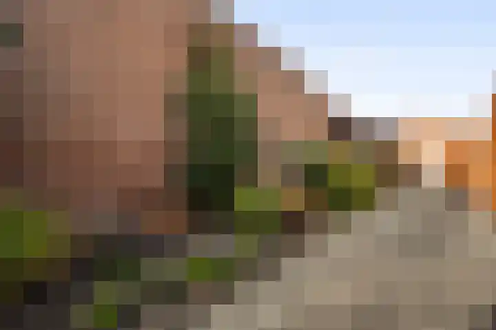 Piet Petersstraat 16 Maasbree thumbnail 28