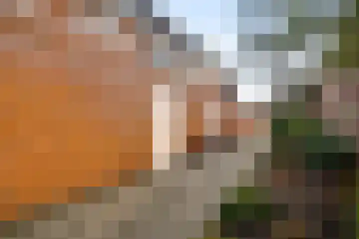 Piet Petersstraat 16 Maasbree thumbnail 29