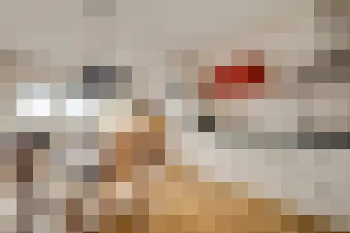 Piet Petersstraat 16 Maasbree thumbnail 8