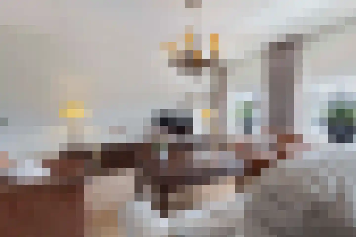 Piet Petersstraat 22 Maasbree thumbnail 14