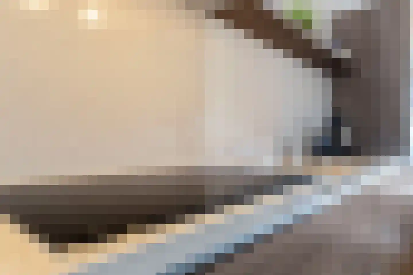 Piet Petersstraat 22 Maasbree thumbnail 21