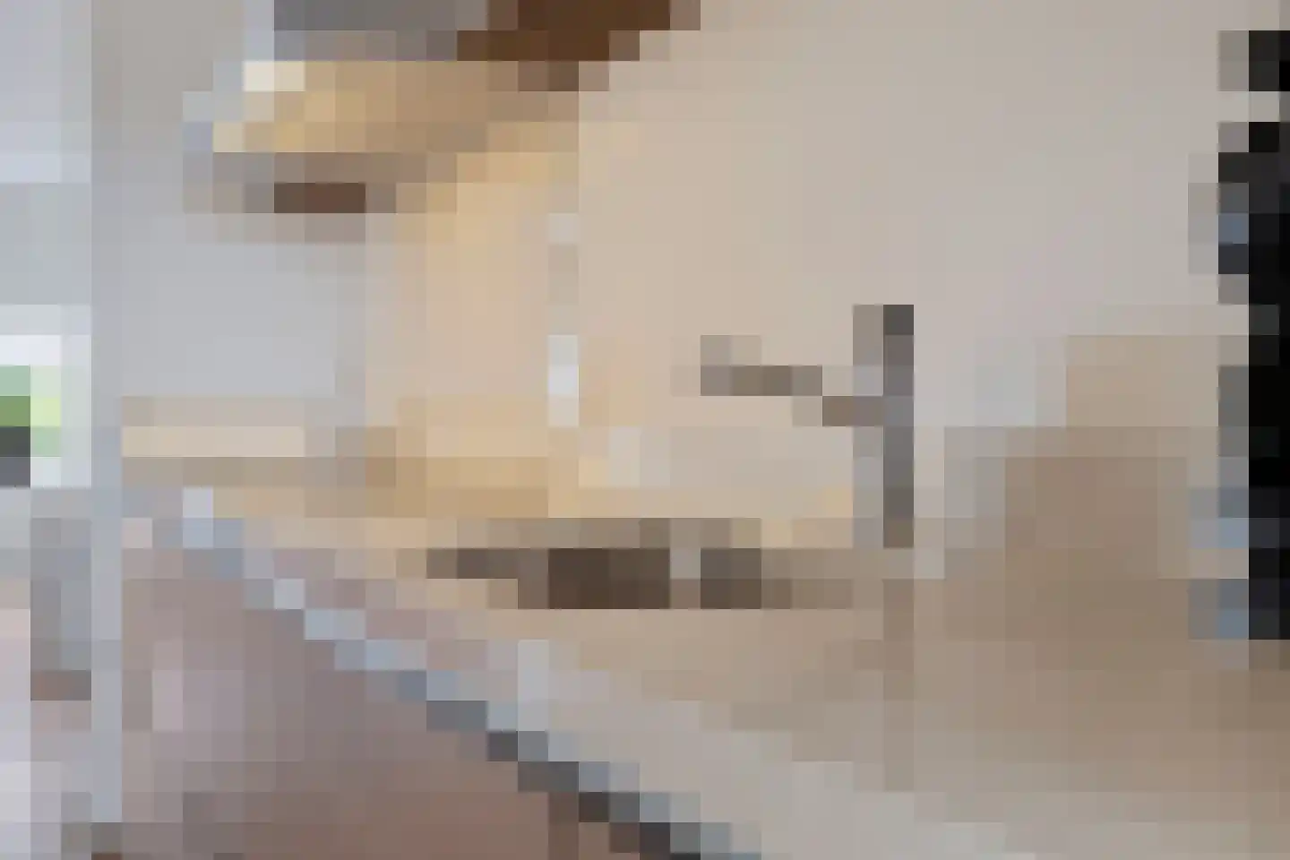 Piet Petersstraat 22 Maasbree thumbnail 22