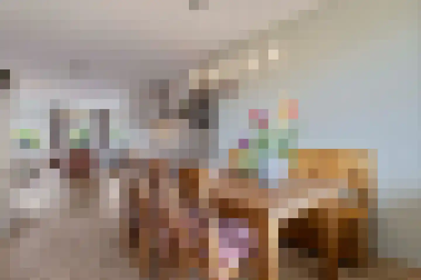 Piet Petersstraat 22 Maasbree thumbnail 23