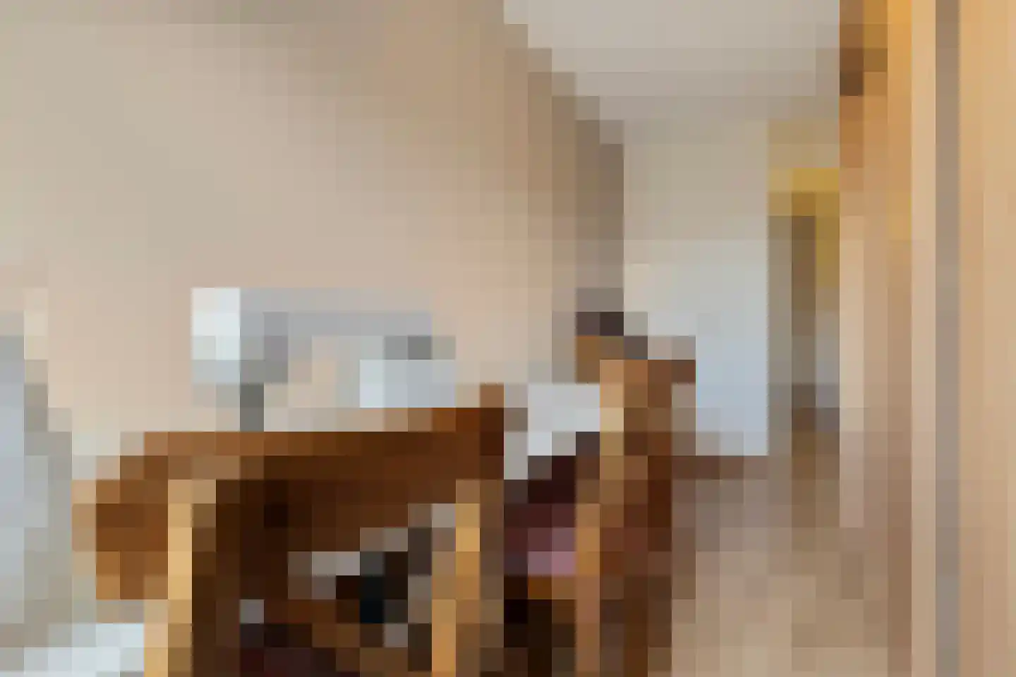 Piet Petersstraat 22 Maasbree thumbnail 32