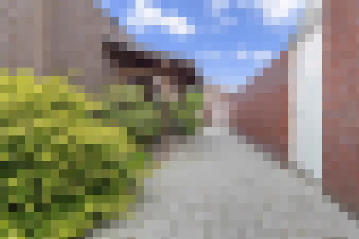 Piet Petersstraat 22 Maasbree thumbnail 37