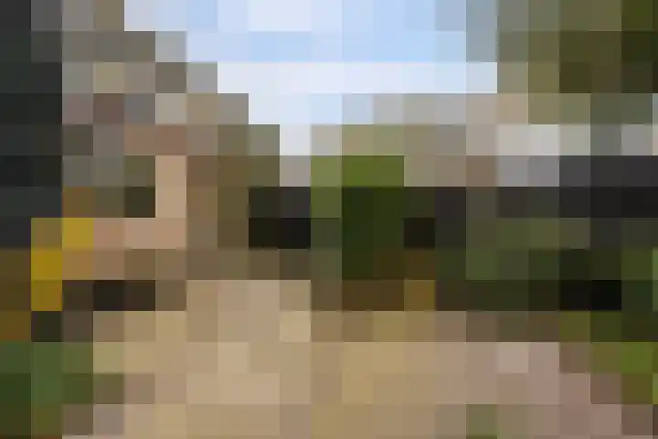 Piet Prinsstraat 3 Huizen thumbnail 27
