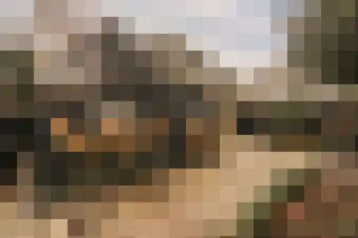 Piet Prinsstraat 3 Huizen thumbnail 33