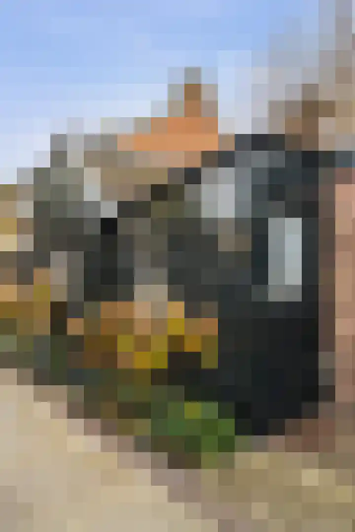 Piet Prinsstraat 3 Huizen thumbnail 34