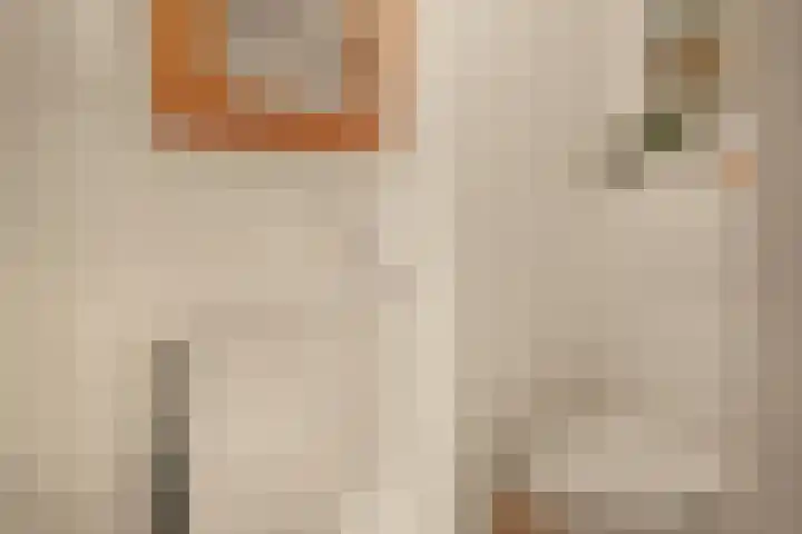 Piet Prinsstraat 3 Huizen thumbnail 38