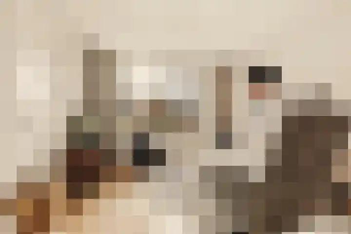 Piet Prinsstraat 3 Huizen thumbnail 4
