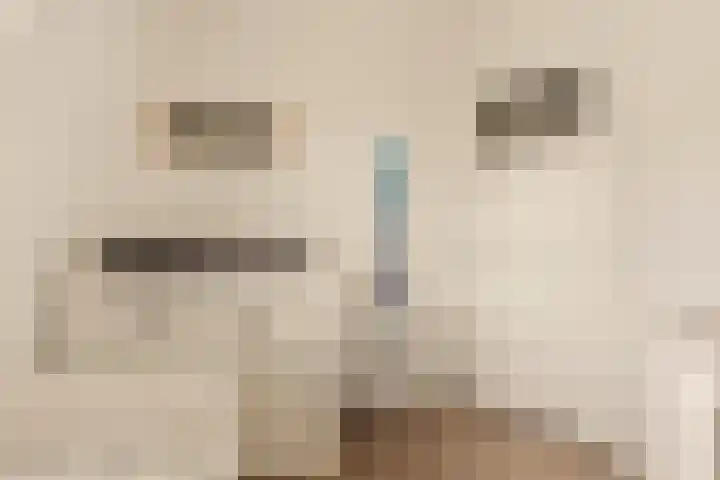 Piet Prinsstraat 3 Huizen thumbnail 46