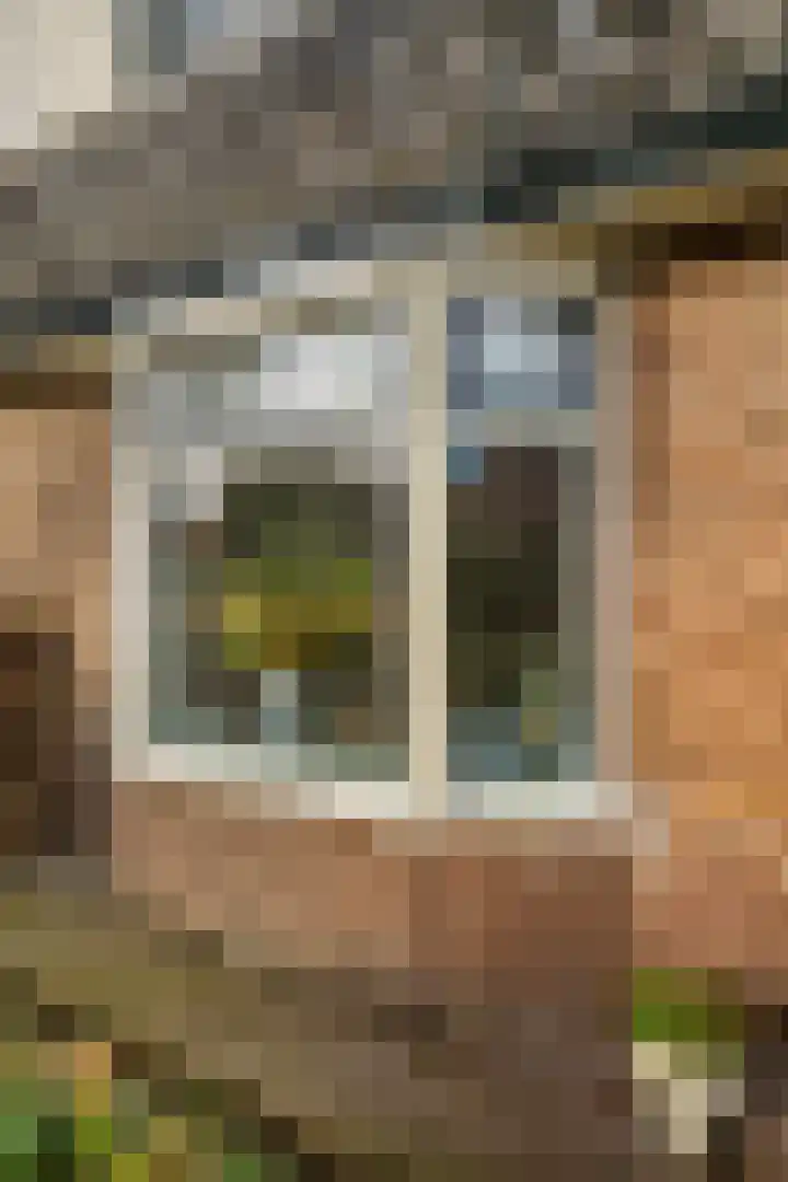 Piet Prinsstraat 3 Huizen thumbnail 56