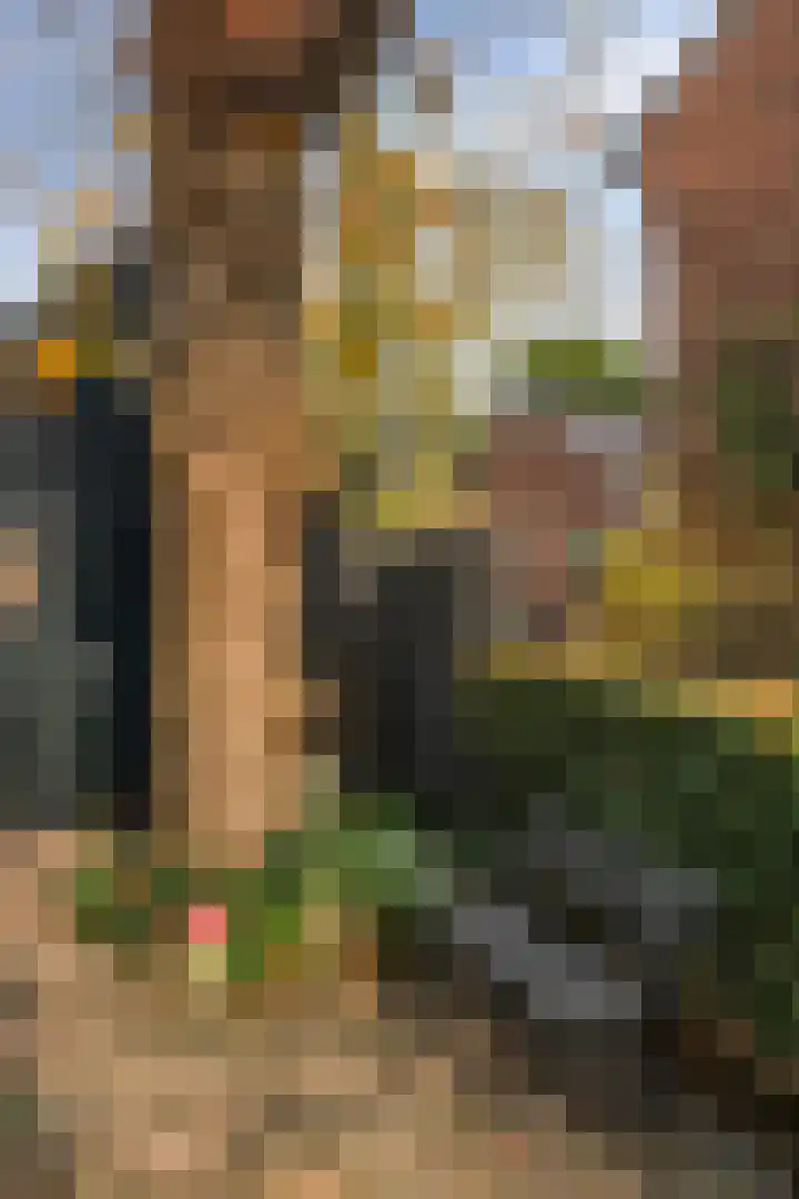 Piet Prinsstraat 3 Huizen thumbnail 58
