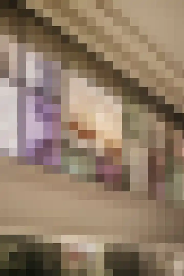 Piet Prinsstraat 3 Huizen thumbnail 6