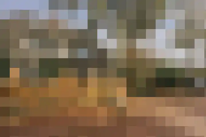 Piet Prinsstraat 3 Huizen thumbnail 62