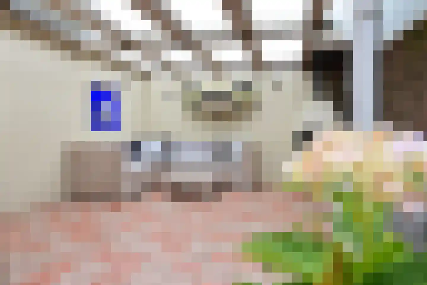 Piet Prinsstraat 38 Huizen thumbnail 14