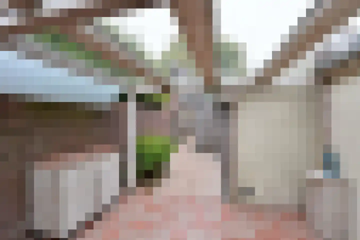 Piet Prinsstraat 38 Huizen thumbnail 15