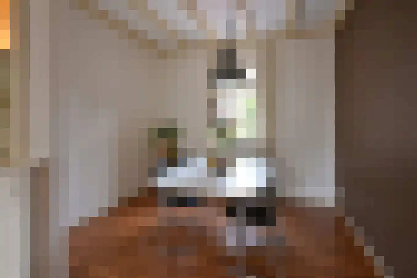 Piet Prinsstraat 38 Huizen thumbnail 4