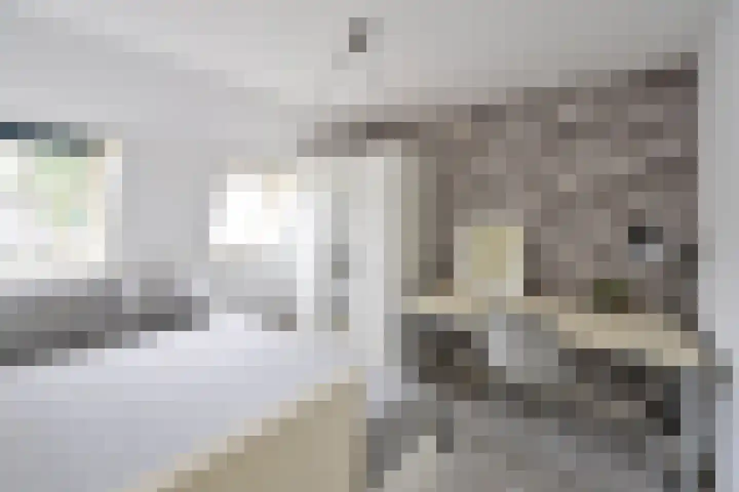 Piet Prinsstraat 38 Huizen thumbnail 8