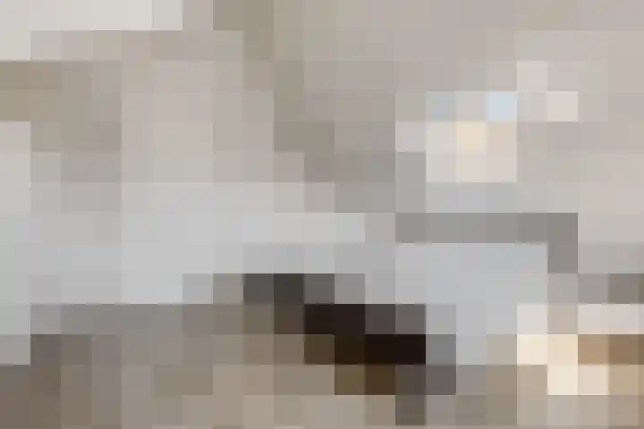 Piet Romboutlaan 39 Ede thumbnail 30