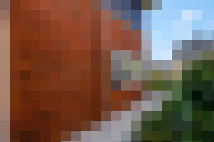 Piet Romboutlaan 39 Ede thumbnail 35