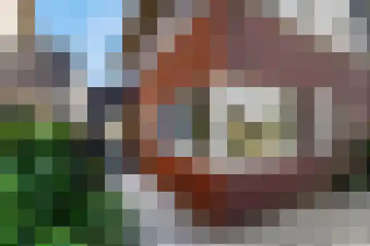 Piet Romboutlaan 39 Ede thumbnail 36
