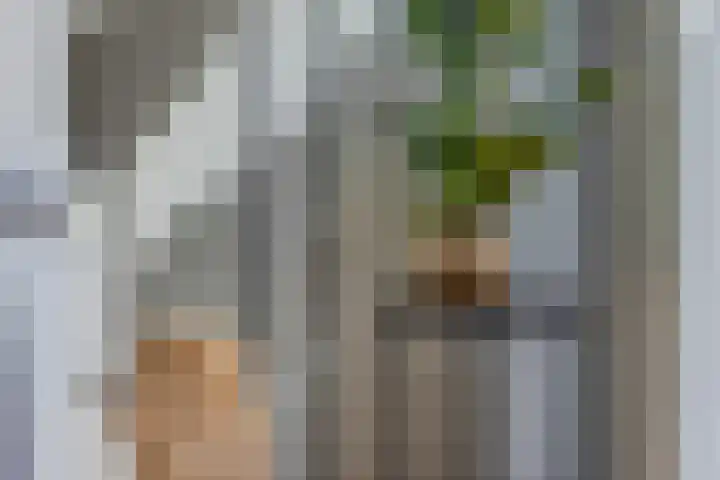Piet Romboutlaan 59 Ede thumbnail 10