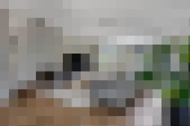Piet Romboutlaan 59 Ede thumbnail 6