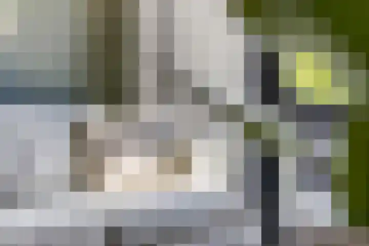 Piet Romboutlaan 59 Ede thumbnail 9