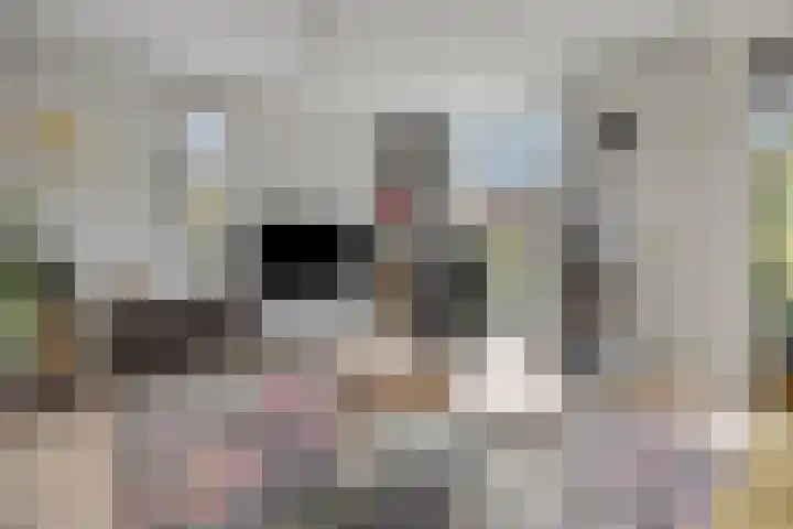 Piet Romboutlaan 84 Ede thumbnail 5