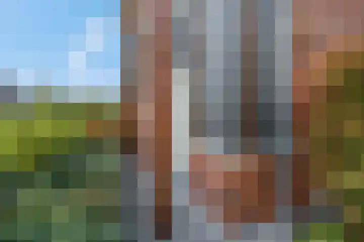 Piet Romboutlaan 84 Ede thumbnail 62