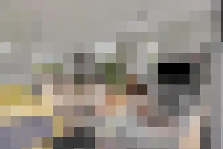 Piet Romboutlaan 84 Ede thumbnail 8