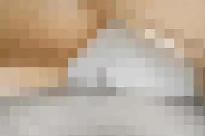 Piet Smithof 10 Ede thumbnail 24