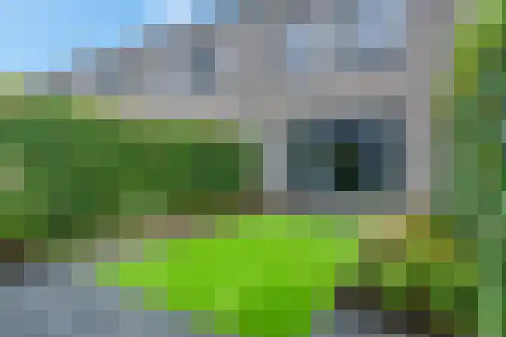 Piet Smithof 10 Ede thumbnail 26