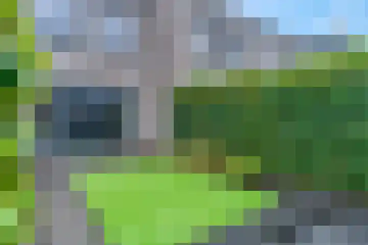 Piet Smithof 10 Ede thumbnail 27