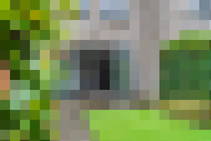 Piet Smithof 10 Ede thumbnail 28