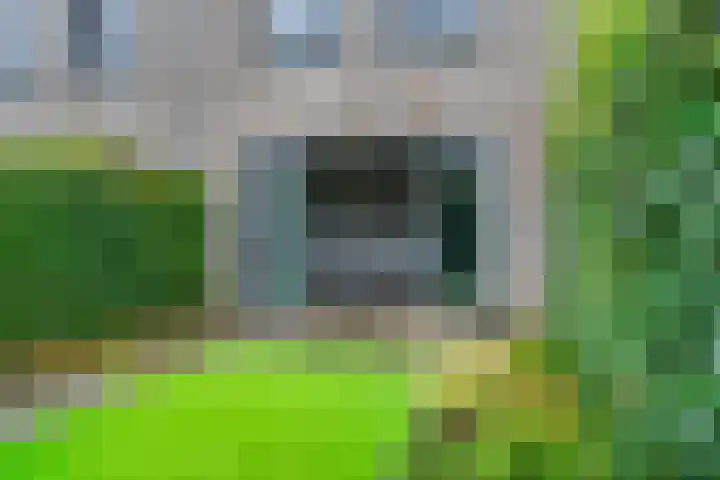 Piet Smithof 10 Ede thumbnail 29