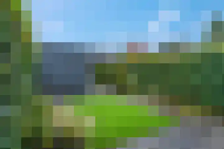 Piet Smithof 10 Ede thumbnail 31