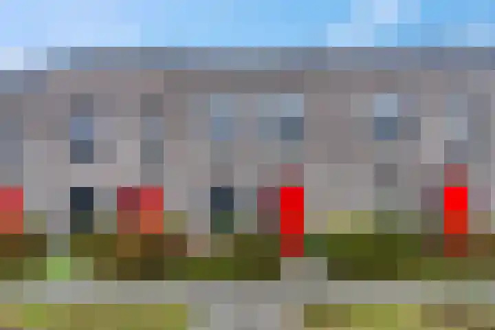Piet Smithof 10 Ede thumbnail 33